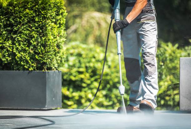 Best House Exterior Washing  in Meiners Oaks, CA