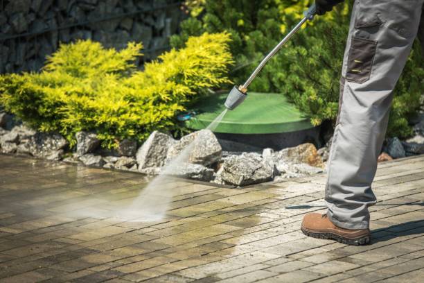 Best Solar Panel Cleaning  in Meiners Oaks, CA